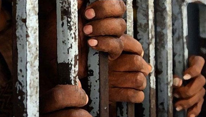 گارڈن، ریوالونگ لائٹ اور جعلی سرکاری نمبر پلیٹ  والی نجی گاڑی استعمال کرنیوالا ملزم گرفتار