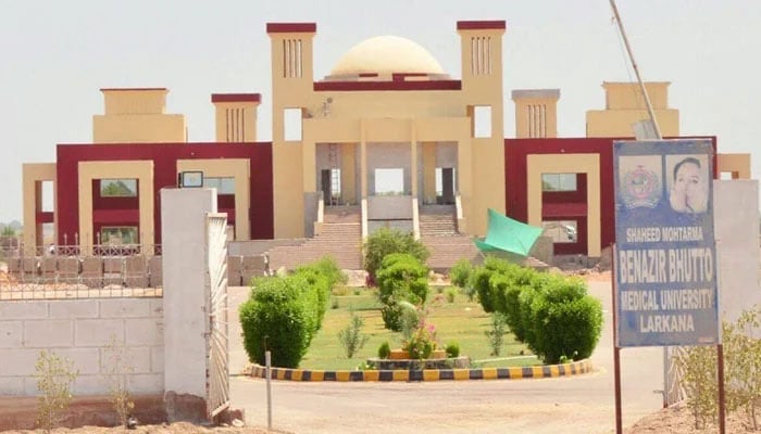 بینظیر بھٹو میڈیکل یونیورسٹی لاڑکانہ، ڈگریوں کی تصدیق کے بغیر بھرتیوں کا انکشاف