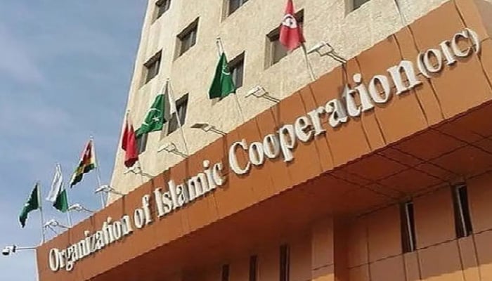 بھارت نے او آئی سی کے بیان کو مضحکہ خیز اور سیاسی محرک قرار دیدیا