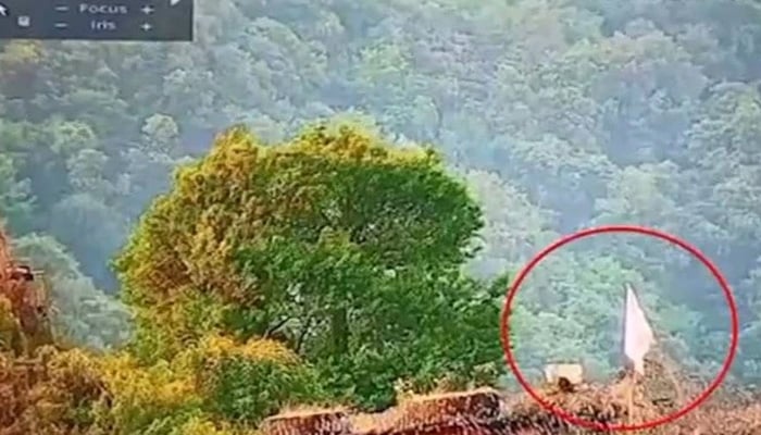 جنگ کے دوران سفید جھنڈا لہرانے کا مطلب شکست کیوں ہوتا ہے؟