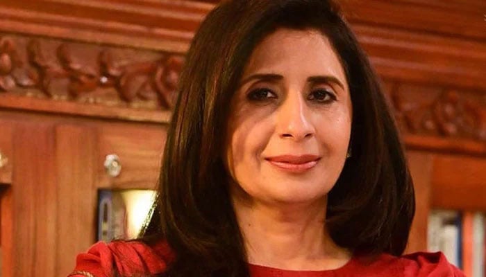 بھارت پرتشدد بیان دے رہا ہے صورتحال انتہائی خطرناک ہے، ممتاز زہرہ