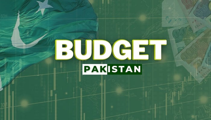 بجٹ، ترقیاتی پروگرام کیلئے 1600 کی بجائے 921 ارب روپے رکھنے کا فیصلہ
