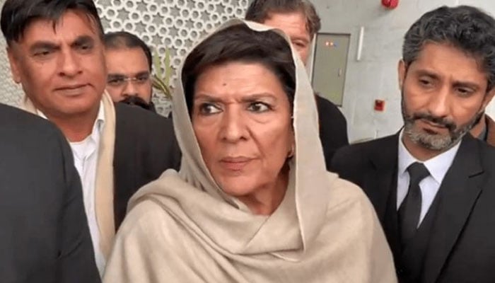 عمران خان نے جنید اکبر کو تحریک شروع کرنے کا پیغام دیا ہے، علیمہ خان