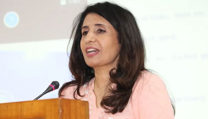 جنوبی ایشیا بڑی تباہی سے بچ گیا، ممتاز زہرہ بلوچ