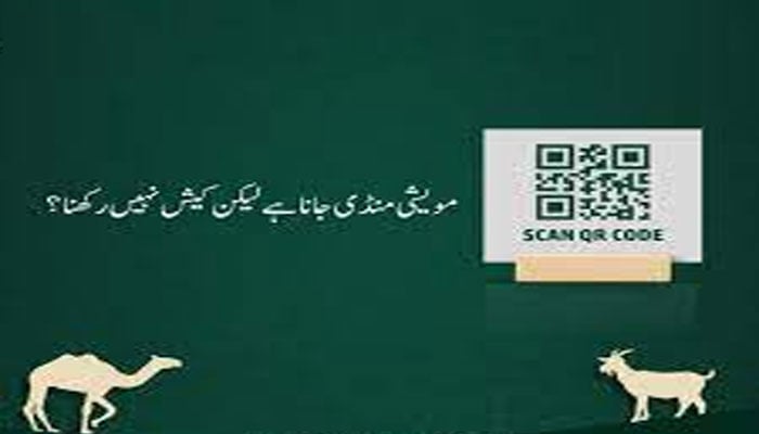 مویشی منڈیوں میں خرید و فروخت کیلئے ڈجیٹل ادائیگیوں کا نظام متعارف