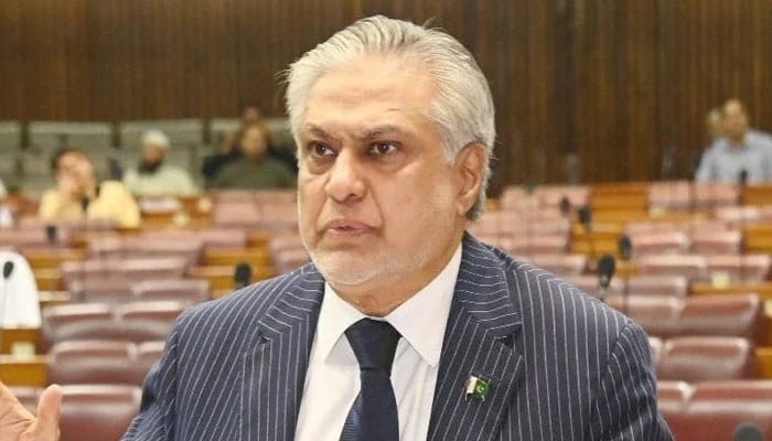 چین اور افغانستان سے اتفاق ہوا کسی دہشت گرد تنظیم کو دوسرے ملک کے خلاف سرزمین استعمال کرنے کی اجازت نہیں دی جائے گی، اسحاق ڈار