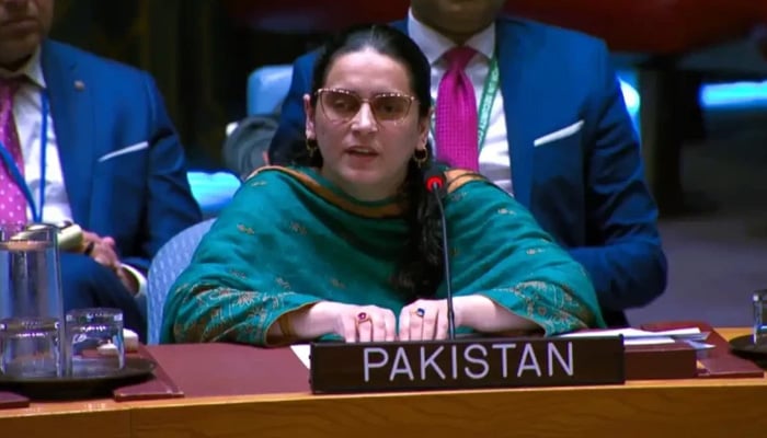 بھارت کی جانب سے پانی کا بطور ہتھیار استعمال عالمی قوانین کی خلاف ورزی، صائمہ سلیم