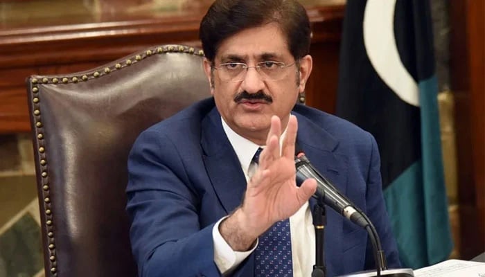 آپس میں لڑنا بند کریں ہمارے دشمن بہت ہیں، مراد شاہ