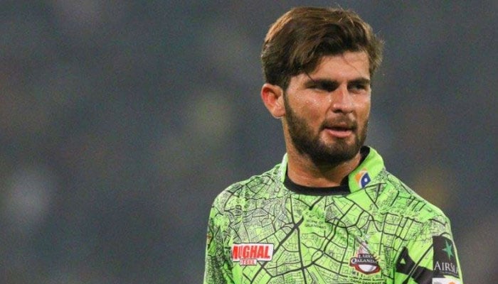 شاہین کا نام لیے بغیر سلیکٹرز پر طنز