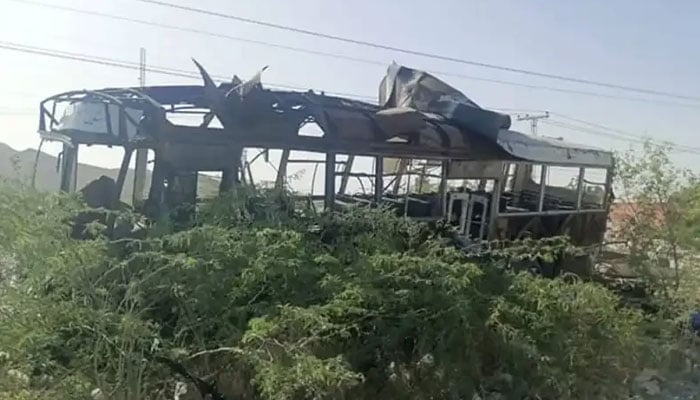 پاکستان بھارت کی ریاستی دہشتگردی سے سب سے زیادہ متاثر