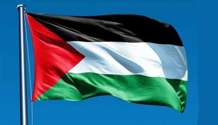فلسطینی پرچم عالمی ادارہ صحت پر لہرائے گا، 95 ممالک کا چینی قراراداد کے حق میں ووٹ