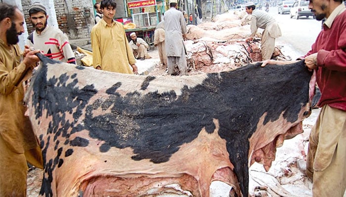 عیدالاضحیٰ پر قربانی کی کھالیں جمع کرنے کیلئے ضابطہ اخلاق جاری