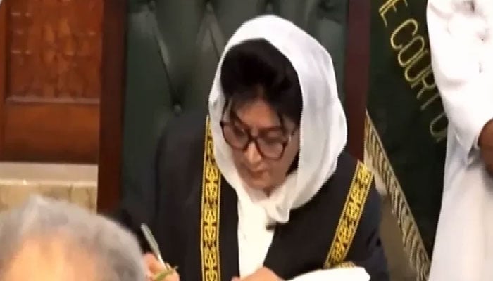 مخصوص نشستیں کیس، PTI پارلیمانی پارٹی تھی نہ سنی اتحاد کونسل، جسٹس مسرت ہلالی