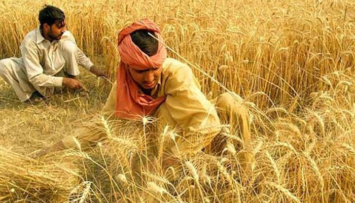 کسانوں کی آمدنی بڑھانے کیلئے سولر سسٹم پروجیکٹ کی پالیسی کا تسلسل ضروری، میرخلیل الرحمٰن میمورئل سوسائٹی کا سیمینار