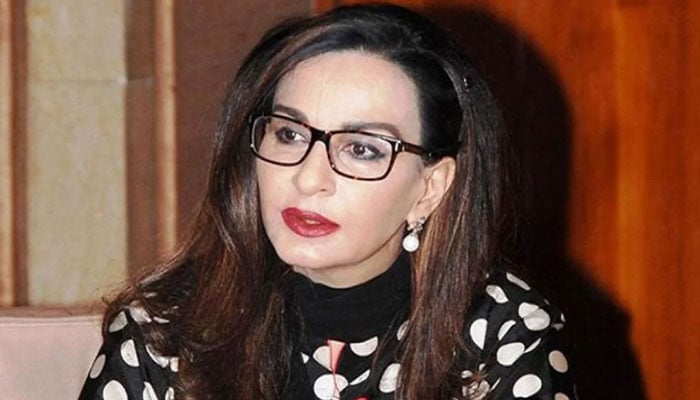 بھارتی سفارتی وفود کی پاکستان کیخلاف چارج شیٹ ناکام رہی، شیری رحمٰن