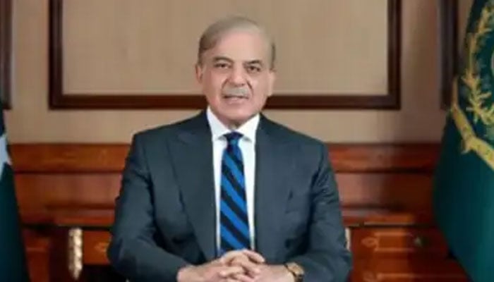 امن دشمنوں کو پاکستان میں کوئی جگہ نہیں ملے گی، وزیراعظم