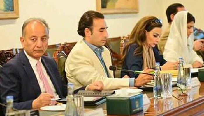 تحریک انصاف کو بھی پاکستانی وفد کا حصہ ہونا چاہئے تھا، ماہر عالمی امور