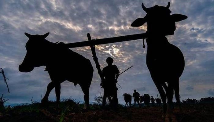 بھارتی کسانوں میں موسمیاتی تبدیلی کیوجہ سے خودکشی کے خطرے میں اضافہ