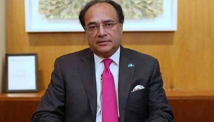 معاشی استحکام کیلئے فری لانسرز نے 400 ملین ڈالر بھیجے، وزیر خزانہ