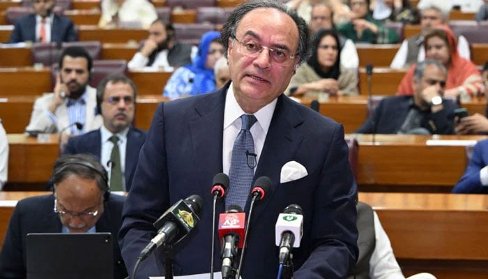 تنخواہوں، پنشن میں اضافہ، 500 ارب کے اضافی ٹیکس، پٹرولیم لیوی میں اضافہ، جائیداد کی خرید و فروخت پر ٹیکس میں کمی، سولر پینلز مہنگے، آن لائن خریداری پر ٹیکس، بینکوں کے منافع کی آمدن پر ٹیکس میں اضافہ