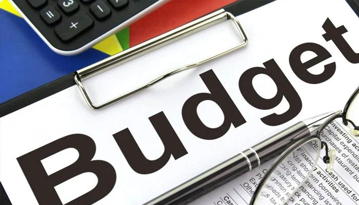 سبسڈیز کے لئے 11 کھرب 86 ارب روپے کی خطیر رقم مختص