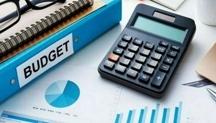 پاکستان کا نصف بجٹ قرض کی نظر، 82 کھرب مختص