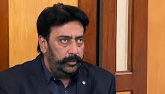 سعدیہ جاوید پنجاب کی بجائے سندھ کی فکر کریں، مسلم لیگ (ن)