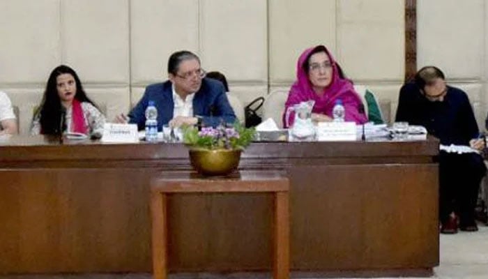 FBR ٹیکس فراڈ پر 10 سال کی جیل قید کی سزا کی تفصیلات بتائے، سینیٹ قائمہ کمیٹی خزانہ