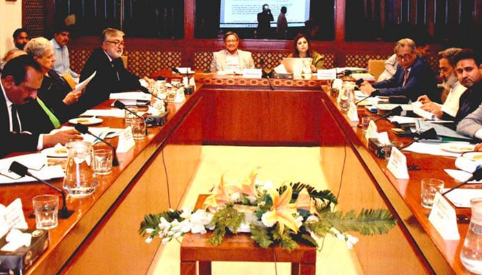 سینیٹ کمیٹی نے پہلی بار جائیداد خریداری پر FED ختم کرنے کی منظوری دیدی