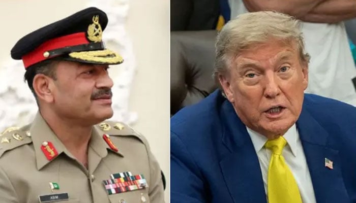ٹرمپ کی جنرل عاصم منیر سے ملاقات کے بعد بڑی پیشرفت، تجزیہ کار