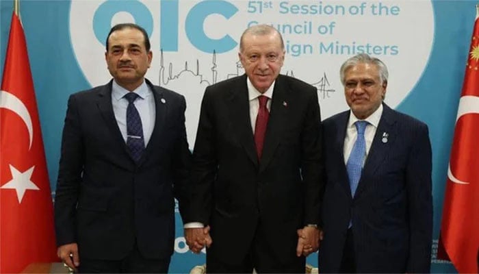 ایردوان سے عاصم منیر، اسحاق ڈار کی ملاقات، کشیدگی کم کرنے کیلئے کوششیں جاری رکھنے پر اتفاق