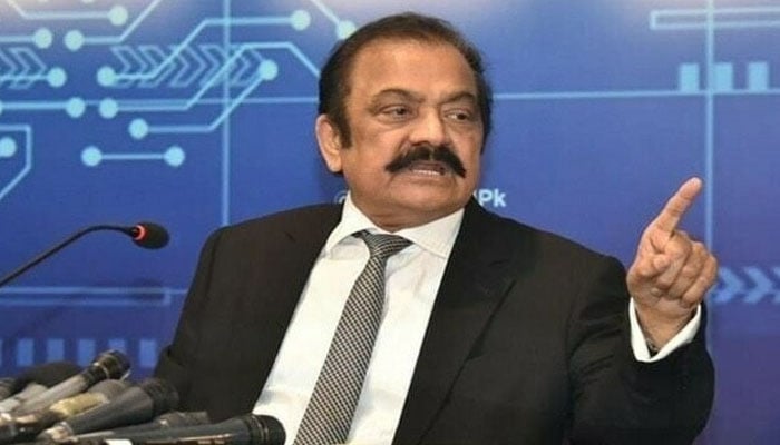کھیلوں کی تنظیمیں ریٹائرڈ لوگوں کی پارکنگ پلیس بن چکیں، رانا ثنا