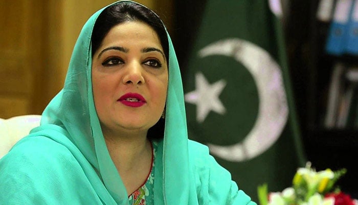 ڈیجیٹل دنیا میں کوئی سرحدیں یا جھنڈے نہیں ہوتے، سینیٹر انوشہ رحمان