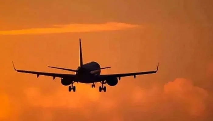 فضائی حدود کھلنے کے باوجود ایران کا فلائٹ آپریشن فعال نہ ہوسکا