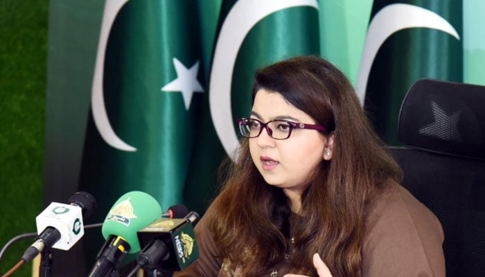 انٹرنیٹ صرف سہولت نہیں، قومی ترقی کا بنیادی جزو ہے، شزہ فاطمہ