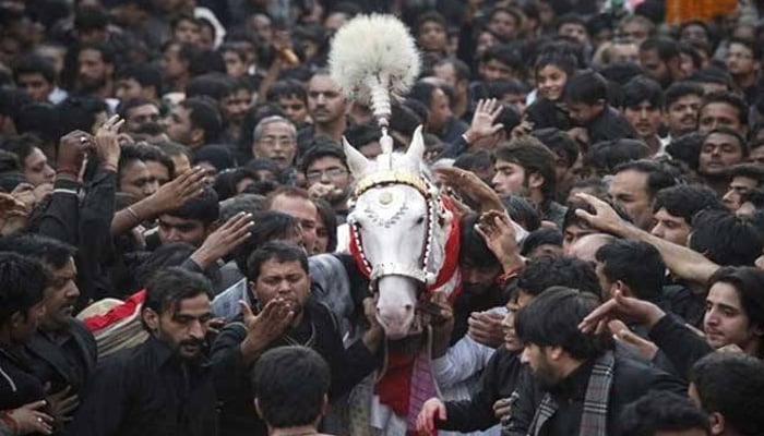 قدیم جلوس علم و ذوالجناح کل برآمد ہوگا