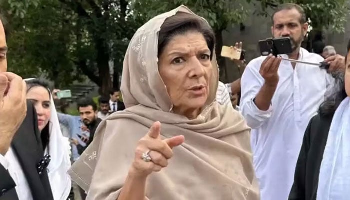 عمران خان مائنس، علیمہ کا بیان، حکومتی ترجمانوں اور مخالفین کا بیانیہ بن گیا