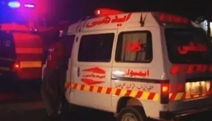 لکی اسٹار کے قریب فلیٹ سے پھندا، بلدیہ میں گڑھے سے گولی لگی لاشیں ملیں