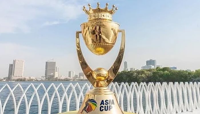 بھارت کی میزبانی میں ایشیاکپ ٹی 20 دبئی میں کرانے کا فیصلہ