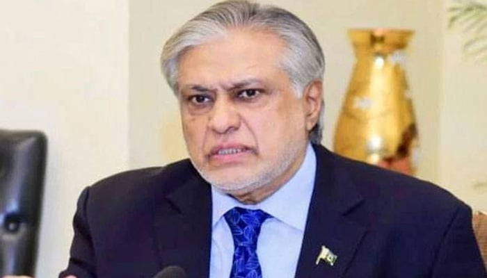 بھارت پاکستان کو ڈرا سکتا ہے نہ مجبور کرسکتا ہے، اپنے شہریوں کو یرغمال نہیں بننے دیں گے، اسحاق ڈار