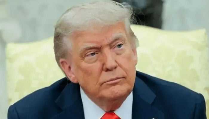 ٹرمپ نے غزہ میں 60 روزہ جنگ بندی کا اعلان کردیا، حماس کا مکمل سیز فائر کا مطالبہ