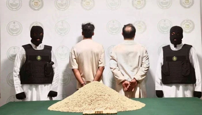 سعودی عرب میں زندہ بھیڑوں کے جسم میں  نشہ آور گولیاں اسمگل کرنے کی کوشش ناکام