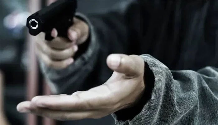 اسٹیل ٹاؤن، لوٹ مار کرنے والا ڈاکو سیکیورٹی گارڈز کی فائرنگ سے مارا گیا
