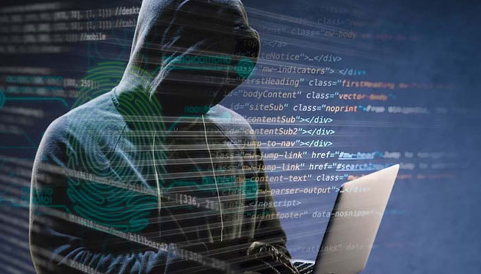 فیصل آباد سائبر اسکینڈل، گرفتار 73 غیر ملکیوں کو بے دخل کرنے کی کارروائی کا آغاز