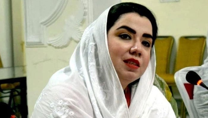 اے این پی کی سابق سیکرٹری اطلاعات ثمر ہارون بلور کا ”جرگہ“ میں انٹرویو
