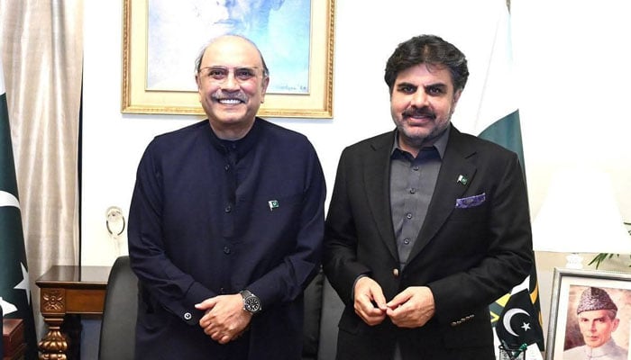 سندھ کے توانائی مسائل کو فوری طور پر حل کیا جائیگا، صدر مملکت