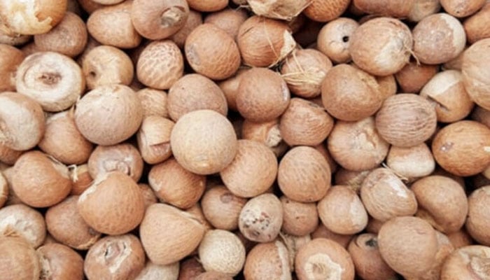سیمنٹ کے بوروں میں چھپا کر 3 ٹن چھالیہ اسمگلنگ کی کوشش ناکام