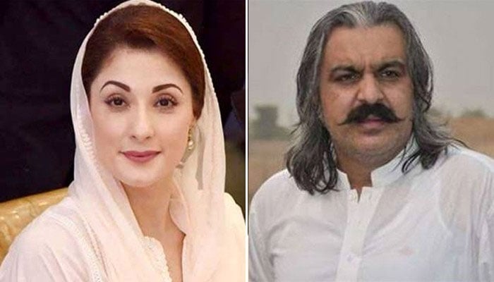 کے پی میں 50 فیصد مریم کی کارکردگی کے معترف، علی امین سے بہتر قرار