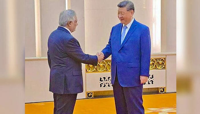 بھارتی اسرائیلی جنگی جنون ناقابل قبول، اسحاق ڈار، چینی صدر اور روس سمیت ہم منصب وزراء سے ملاقاتیں