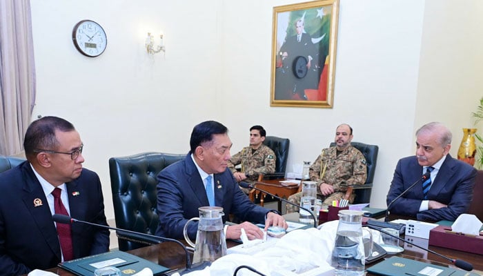 وزیراعظم اور فیلڈ مارشل سے انڈونیشیائی وزیر دفاع کی ملاقات، عسکری تعاون مزید بڑھانے پر غور